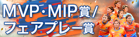 MVP・MIP賞/フェアプレー賞